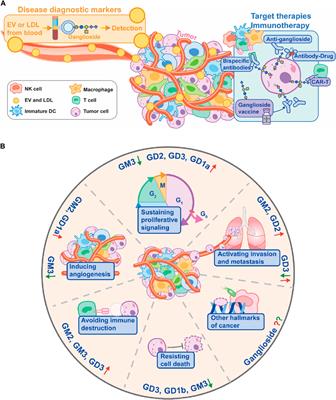 Editorial: Pharmacology of gangliosides